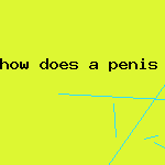 how does a penis pump work