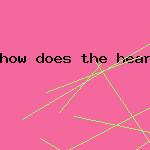 how does the heart work