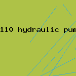 110 hydraulic pump